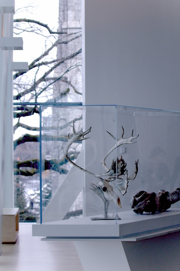 Glass and gypsum partition design for office spaces